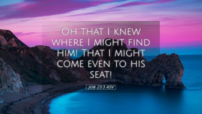 Picture 05 - Job 23:3 ASV Desktop Wallpaper - Oh that I knew where I might find him! That I - Desktop Bible Verse Wallpaper