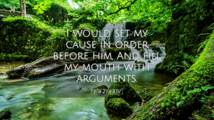 Picture 05 - Job 23:4 ASV Desktop Wallpaper - I would set my cause in order before him, And - Desktop Bible Verse Wallpaper