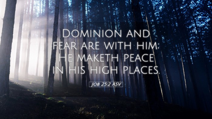Picture 05 - Job 25:2 ASV Desktop Wallpaper - Dominion and fear are with him; He maketh peace - Desktop Bible Verse Wallpaper