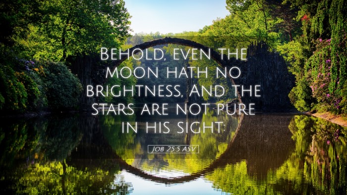 Picture 05 - Job 25:5 ASV Desktop Wallpaper - Behold, even the moon hath no brightness, And the - Desktop Bible Verse Wallpaper