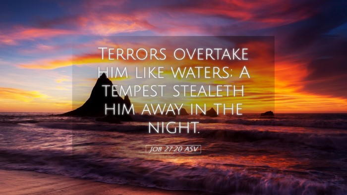 Picture 05 - Job 27:20 ASV Desktop Wallpaper - Terrors overtake him like waters; A tempest - Desktop Bible Verse Wallpaper