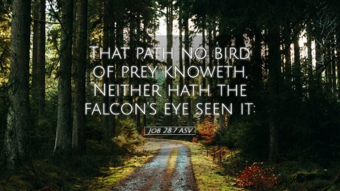 Picture 05 - Job 28:7 ASV Desktop Wallpaper - That path no bird of prey knoweth, Neither hath - Desktop Bible Verse Wallpaper