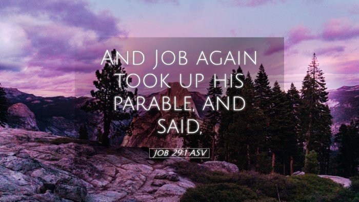 Picture 05 - Job 29:1 ASV Desktop Wallpaper - And Job again took up his parable, and - Desktop Bible Verse Wallpaper