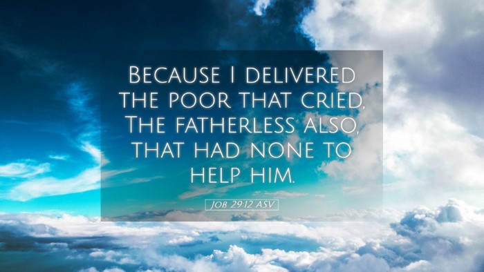 Picture 05 - Job 29:12 ASV Desktop Wallpaper - Because I delivered the poor that cried, The - Desktop Bible Verse Wallpaper
