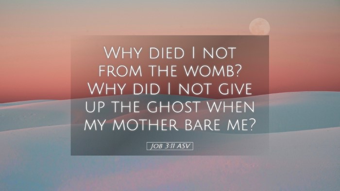 Picture 05 - Job 3:11 ASV Desktop Wallpaper - Why died I not from the womb? Why did I not give - Desktop Bible Verse Wallpaper