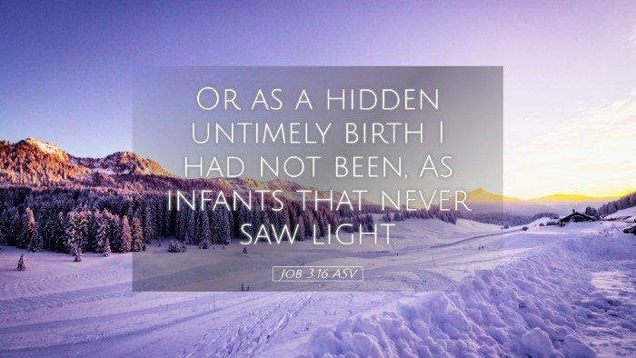 Picture 05 - Job 3:16 ASV Desktop Wallpaper - Or as a hidden untimely birth I had not been, As - Desktop Bible Verse Wallpaper