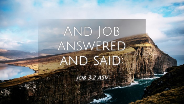 Picture 05 - Job 3:2 ASV Desktop Wallpaper - And Job answered and - Desktop Bible Verse Wallpaper