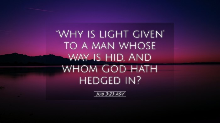 Picture 05 - Job 3:23 ASV Desktop Wallpaper - `Why is light given' to a man whose way is hid, - Desktop Bible Verse Wallpaper