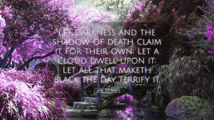 Picture 05 - Job 3:5 ASV Desktop Wallpaper - Let darkness and the shadow of death claim it for - Desktop Bible Verse Wallpaper