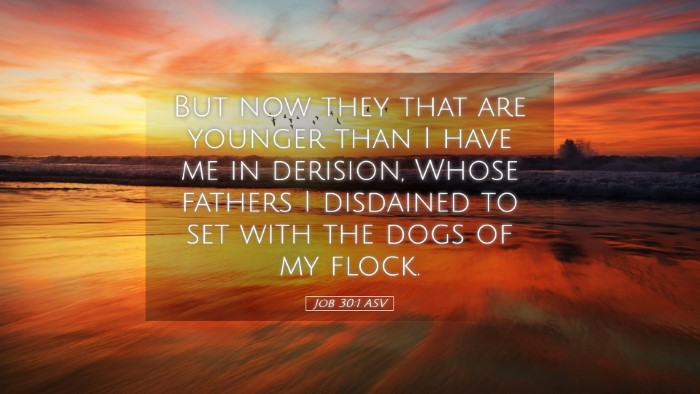 Picture 05 - Job 30:1 ASV Desktop Wallpaper - But now they that are younger than I have me in - Desktop Bible Verse Wallpaper