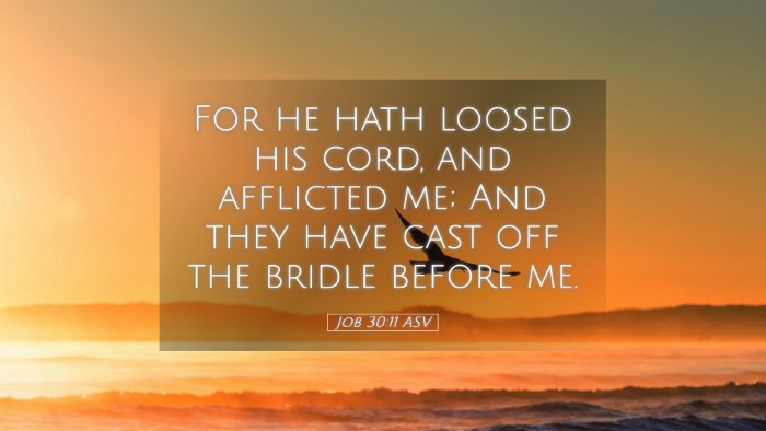Picture 05 - Job 30:11 ASV Desktop Wallpaper - For he hath loosed his cord, and afflicted me; - Desktop Bible Verse Wallpaper