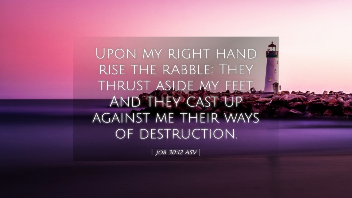 Picture 05 - Job 30:12 ASV Desktop Wallpaper - Upon my right hand rise the rabble; They thrust - Desktop Bible Verse Wallpaper
