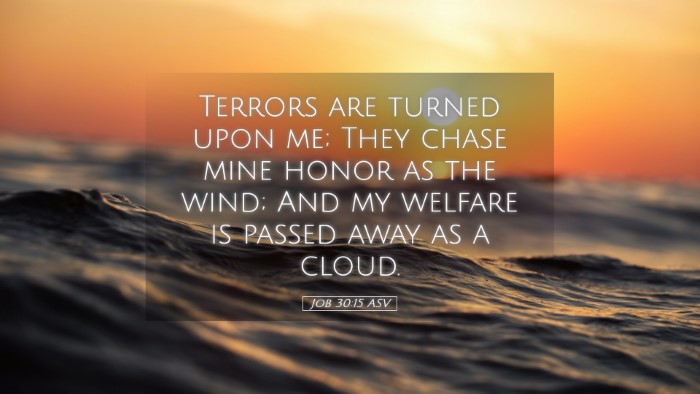 Picture 05 - Job 30:15 ASV Desktop Wallpaper - Terrors are turned upon me; They chase mine honor - Desktop Bible Verse Wallpaper