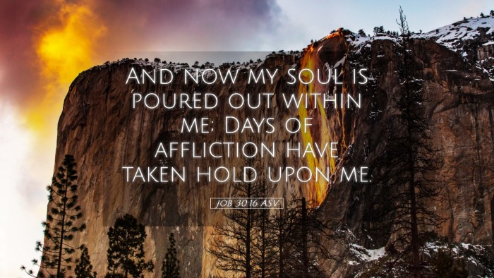 Picture 05 - Job 30:16 ASV Desktop Wallpaper - And now my soul is poured out within me; Days of - Desktop Bible Verse Wallpaper