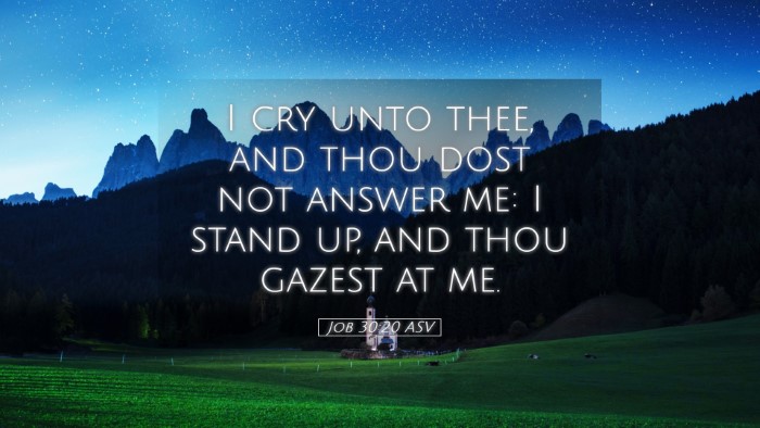 Picture 05 - Job 30:20 ASV Desktop Wallpaper - I cry unto thee, and thou dost not answer me: I - Desktop Bible Verse Wallpaper