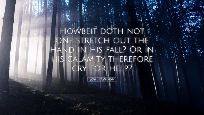 Picture 05 - Job 30:24 ASV Desktop Wallpaper - Howbeit doth not one stretch out the hand in his - Desktop Bible Verse Wallpaper