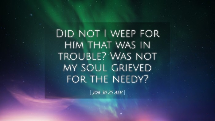 Picture 05 - Job 30:25 ASV Desktop Wallpaper - Did not I weep for him that was in trouble? Was - Desktop Bible Verse Wallpaper
