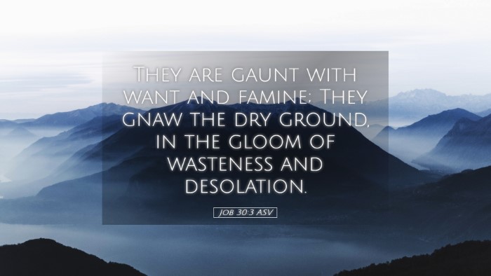 Picture 05 - Job 30:3 ASV Desktop Wallpaper - They are gaunt with want and famine; They gnaw - Desktop Bible Verse Wallpaper