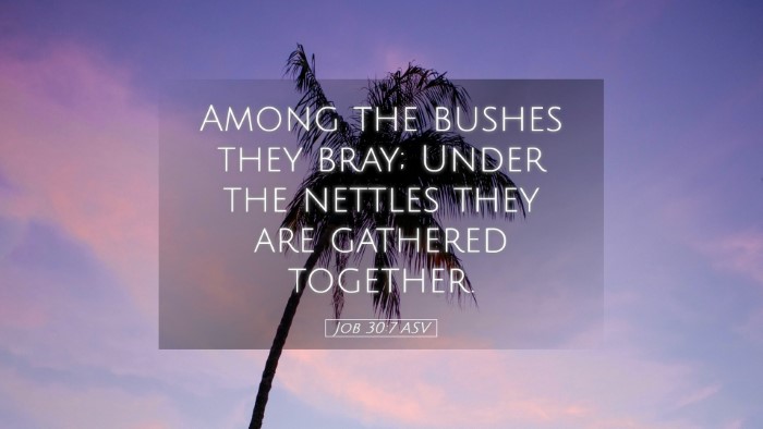 Picture 05 - Job 30:7 ASV Desktop Wallpaper - Among the bushes they bray; Under the nettles - Desktop Bible Verse Wallpaper
