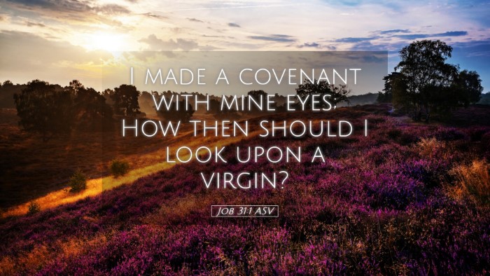 Picture 05 - Job 31:1 ASV Desktop Wallpaper - I made a covenant with mine eyes; How then should - Desktop Bible Verse Wallpaper