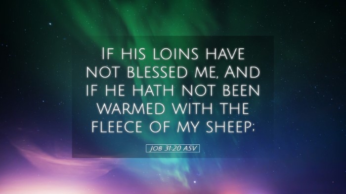 Picture 05 - Job 31:20 ASV Desktop Wallpaper - If his loins have not blessed me, And if he hath - Desktop Bible Verse Wallpaper
