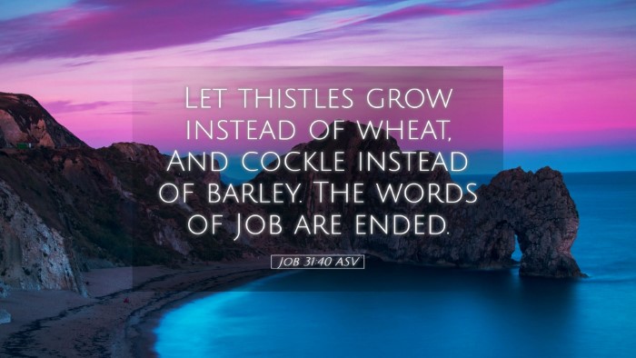 Picture 05 - Job 31:40 ASV Desktop Wallpaper - Let thistles grow instead of wheat, And cockle - Desktop Bible Verse Wallpaper