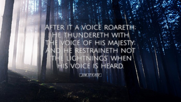 Picture 05 - Job 37:4 ASV Desktop Wallpaper - After it a voice roareth; He thundereth with the - Desktop Bible Verse Wallpaper