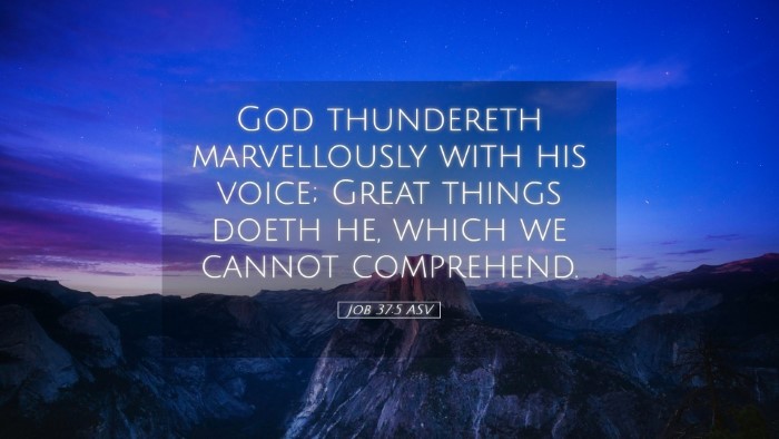 Picture 05 - Job 37:5 ASV Desktop Wallpaper - God thundereth marvellously with his voice; Great - Desktop Bible Verse Wallpaper
