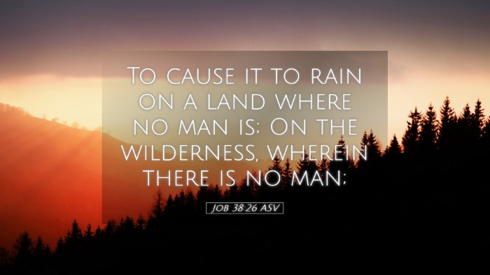 Picture 05 - Job 38:26 ASV Desktop Wallpaper - To cause it to rain on a land where no man is; On - Desktop Bible Verse Wallpaper