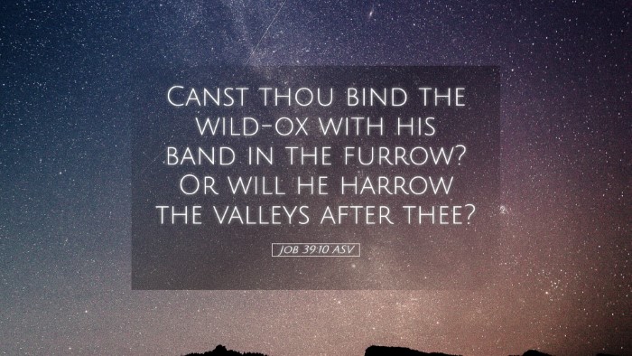 Picture 05 - Job 39:10 ASV Desktop Wallpaper - Canst thou bind the wild-ox with his band in the - Desktop Bible Verse Wallpaper
