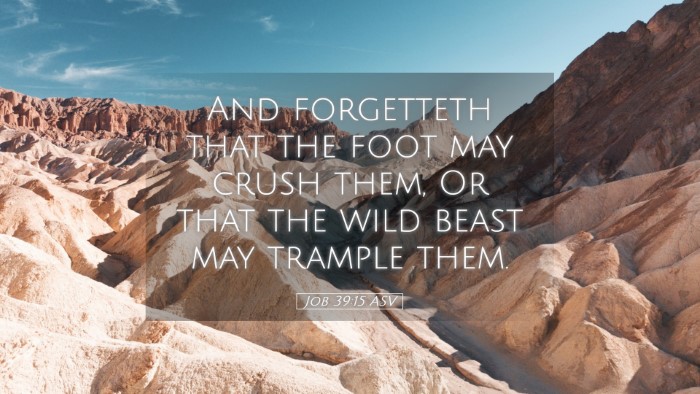 Picture 05 - Job 39:15 ASV Desktop Wallpaper - And forgetteth that the foot may crush them, Or - Desktop Bible Verse Wallpaper