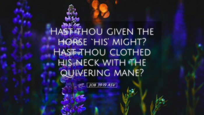 Picture 05 - Job 39:19 ASV Desktop Wallpaper - Hast thou given the horse `his' might? Hast thou - Desktop Bible Verse Wallpaper