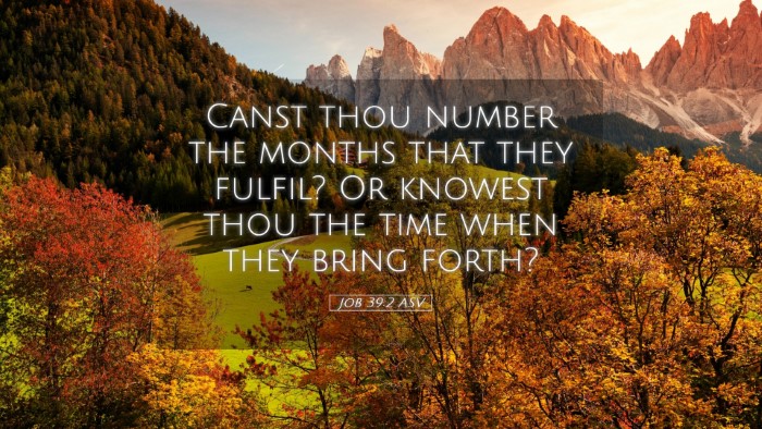 Picture 05 - Job 39:2 ASV Desktop Wallpaper - Canst thou number the months that they fulfil? Or - Desktop Bible Verse Wallpaper