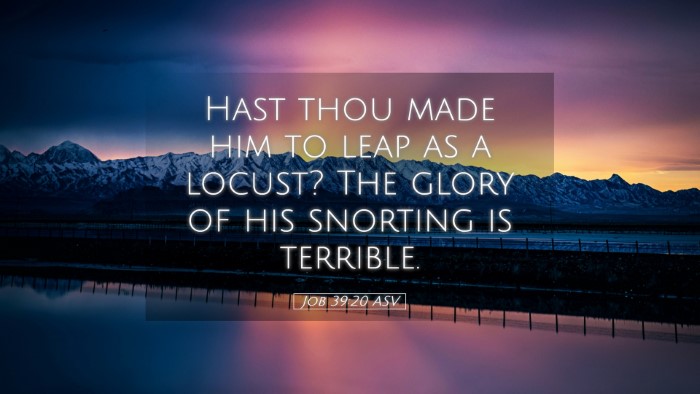 Picture 05 - Job 39:20 ASV Desktop Wallpaper - Hast thou made him to leap as a locust? The glory - Desktop Bible Verse Wallpaper