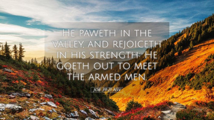 Picture 05 - Job 39:21 ASV Desktop Wallpaper - He paweth in the valley, and rejoiceth in his - Desktop Bible Verse Wallpaper