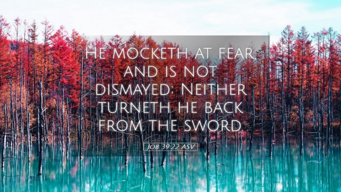 Picture 05 - Job 39:22 ASV Desktop Wallpaper - He mocketh at fear, and is not dismayed; Neither - Desktop Bible Verse Wallpaper