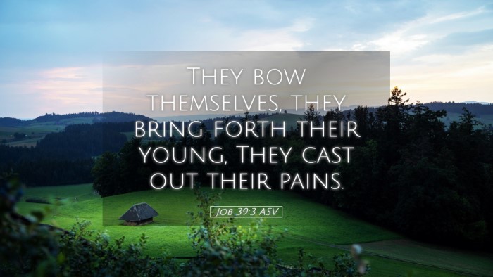 Picture 05 - Job 39:3 ASV Desktop Wallpaper - They bow themselves, they bring forth their - Desktop Bible Verse Wallpaper