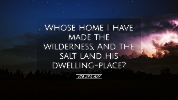 Picture 05 - Job 39:6 ASV Desktop Wallpaper - Whose home I have made the wilderness, And the - Desktop Bible Verse Wallpaper