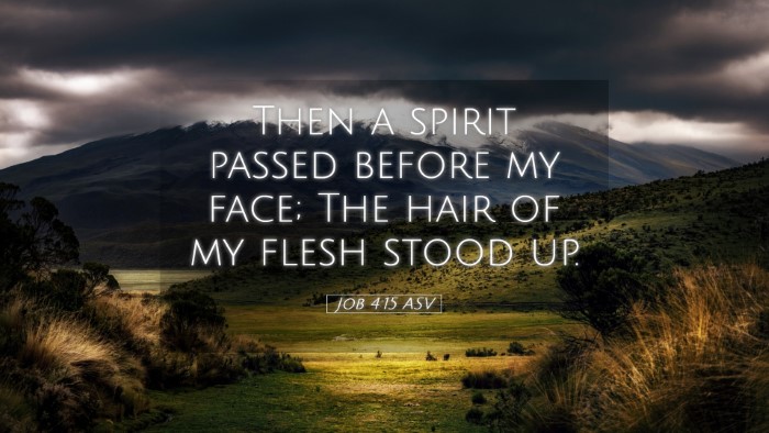 Picture 05 - Job 4:15 ASV Desktop Wallpaper - Then a spirit passed before my face; The hair of - Desktop Bible Verse Wallpaper