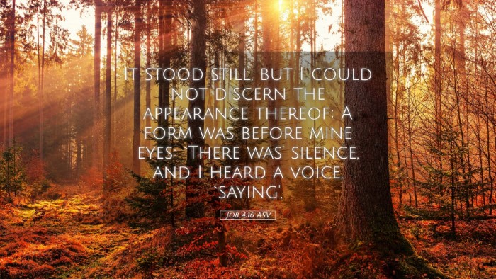 Picture 05 - Job 4:16 ASV Desktop Wallpaper - It stood still, but I could not discern the - Desktop Bible Verse Wallpaper