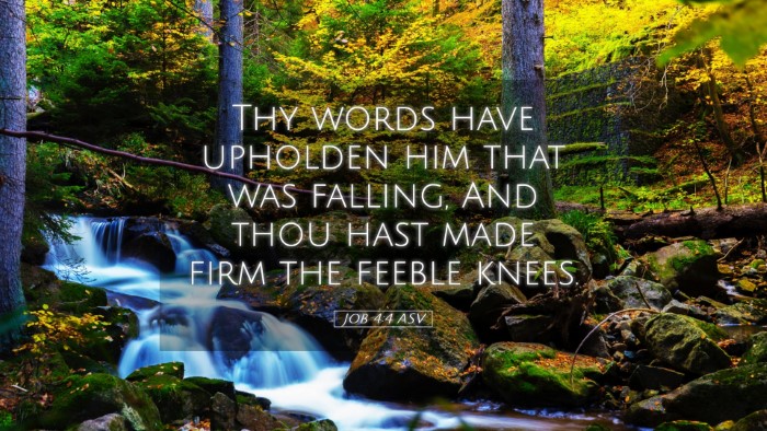 Picture 05 - Job 4:4 ASV Desktop Wallpaper - Thy words have upholden him that was falling, And - Desktop Bible Verse Wallpaper