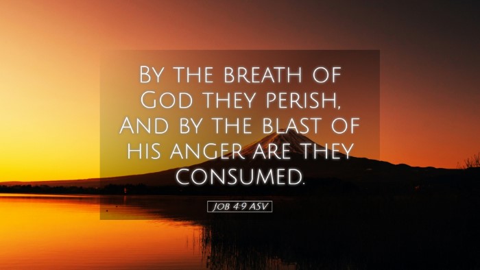 Picture 05 - Job 4:9 ASV Desktop Wallpaper - By the breath of God they perish, And by the - Desktop Bible Verse Wallpaper