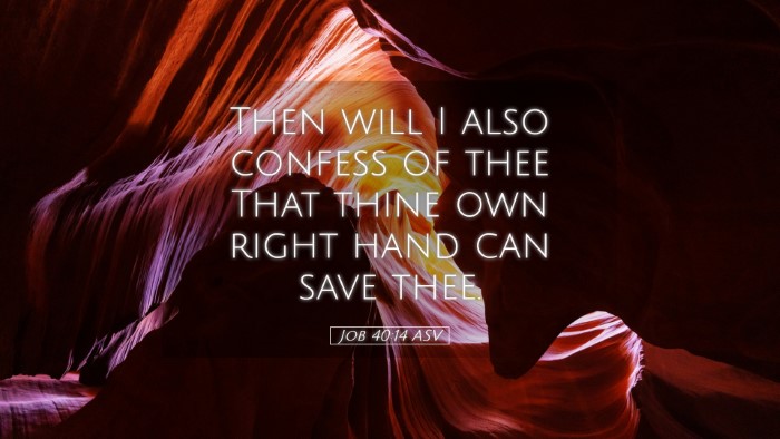 Picture 05 - Job 40:14 ASV Desktop Wallpaper - Then will I also confess of thee That thine own - Desktop Bible Verse Wallpaper
