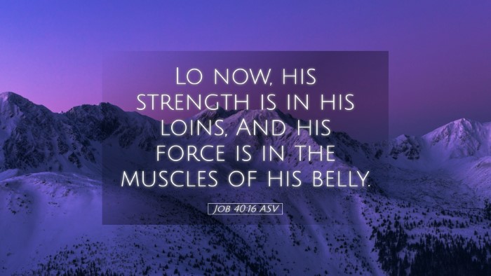 Picture 05 - Job 40:16 ASV Desktop Wallpaper - Lo now, his strength is in his loins, And his - Desktop Bible Verse Wallpaper