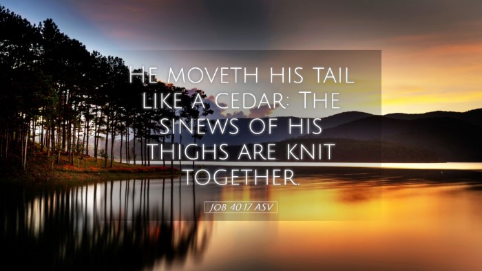 Picture 05 - Job 40:17 ASV Desktop Wallpaper - He moveth his tail like a cedar: The sinews of - Desktop Bible Verse Wallpaper