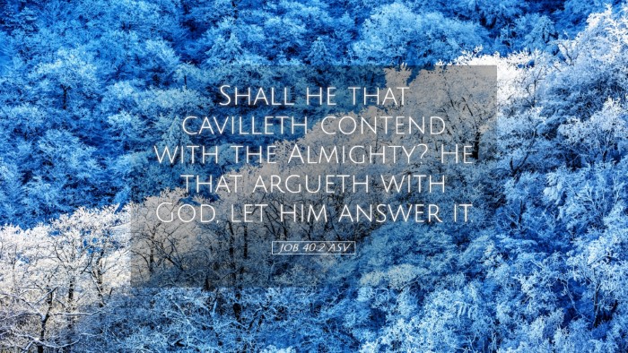 Picture 05 - Job 40:2 ASV Desktop Wallpaper - Shall he that cavilleth contend with the - Desktop Bible Verse Wallpaper