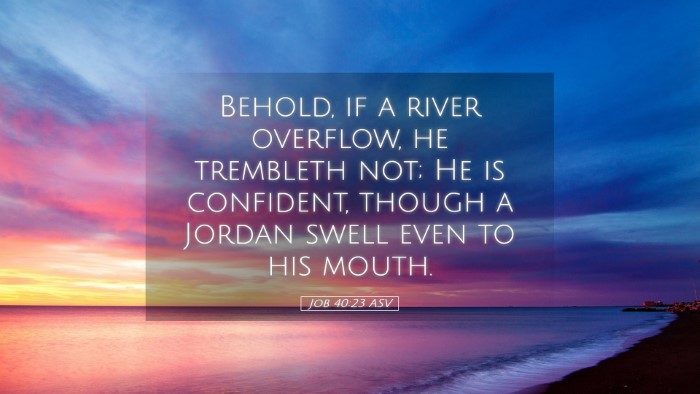 Picture 05 - Job 40:23 ASV Desktop Wallpaper - Behold, if a river overflow, he trembleth not; He - Desktop Bible Verse Wallpaper