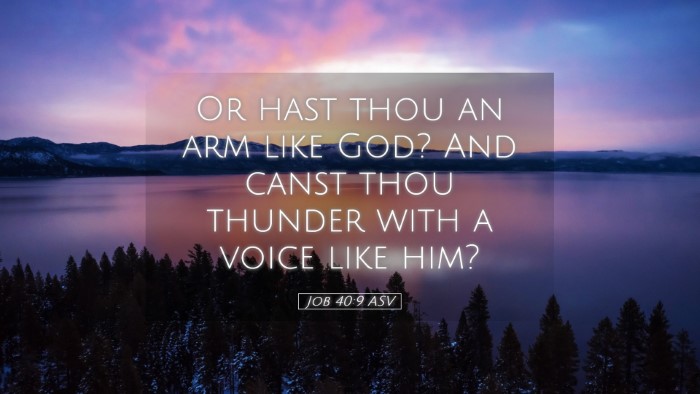 Picture 05 - Job 40:9 ASV Desktop Wallpaper - Or hast thou an arm like God? And canst thou - Desktop Bible Verse Wallpaper