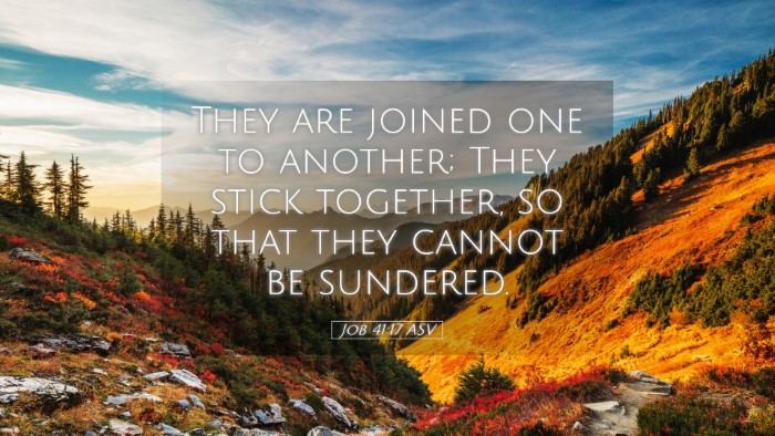 Picture 05 - Job 41:17 ASV Desktop Wallpaper - They are joined one to another; They stick - Desktop Bible Verse Wallpaper