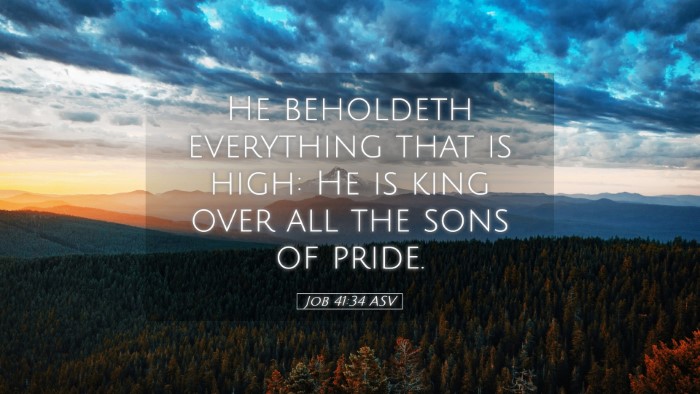 Picture 05 - Job 41:34 ASV Desktop Wallpaper - He beholdeth everything that is high: He is king - Desktop Bible Verse Wallpaper